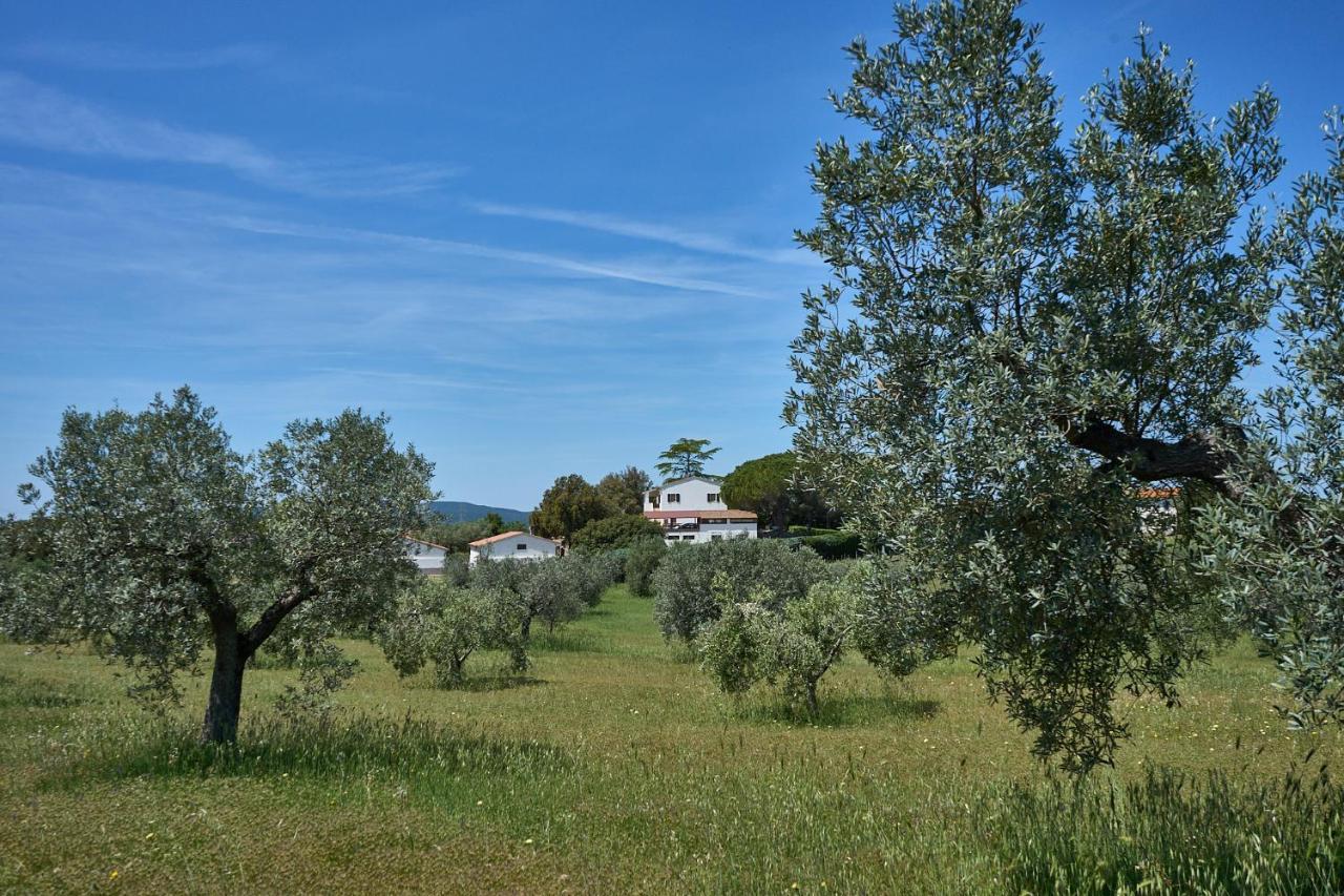 Agriturismo Tesorino Massa Marittima Exterior foto