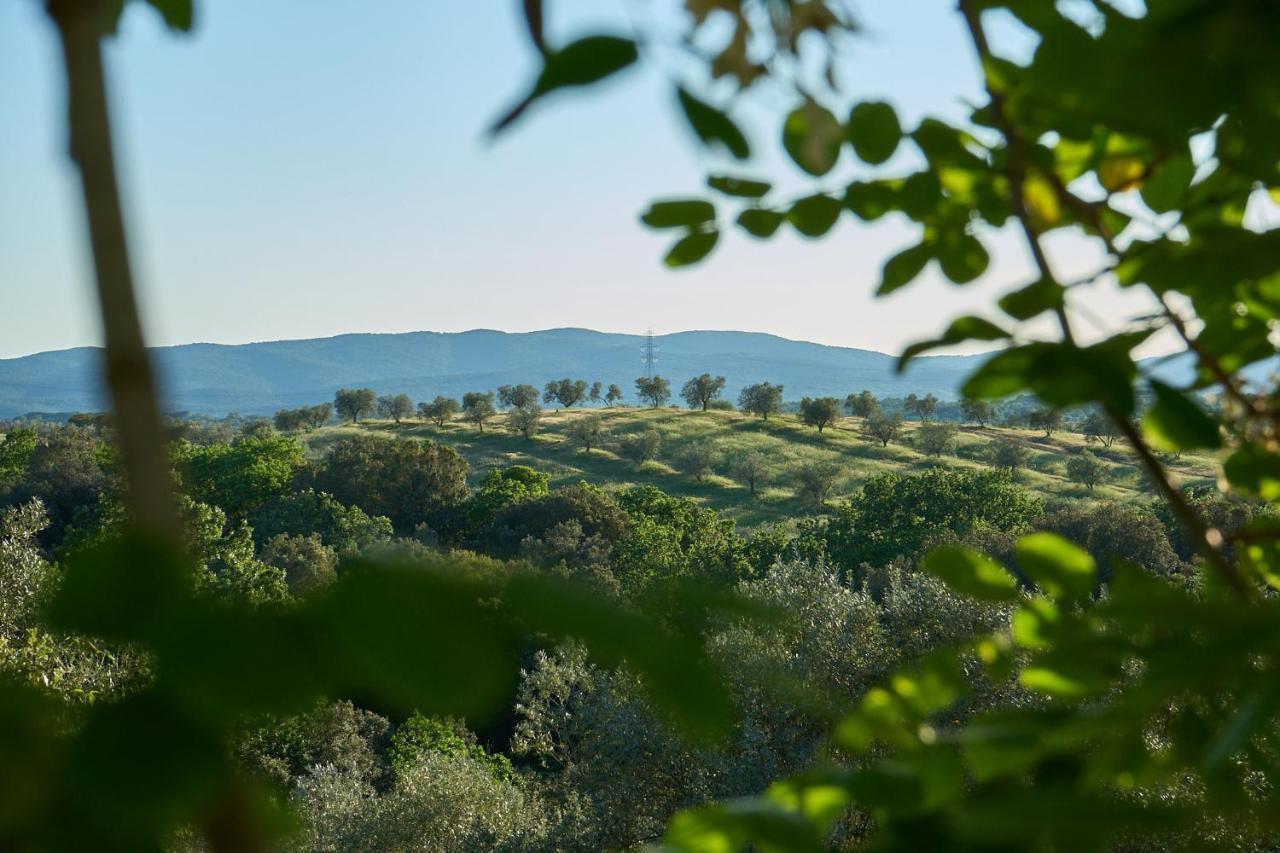 Agriturismo Tesorino Massa Marittima Exterior foto